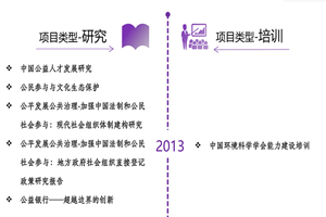 骚货被伦出水在线非评估类项目发展历程